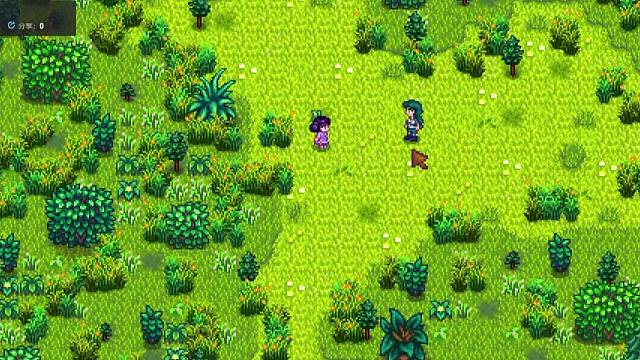 星露谷sve偶遇小剧情