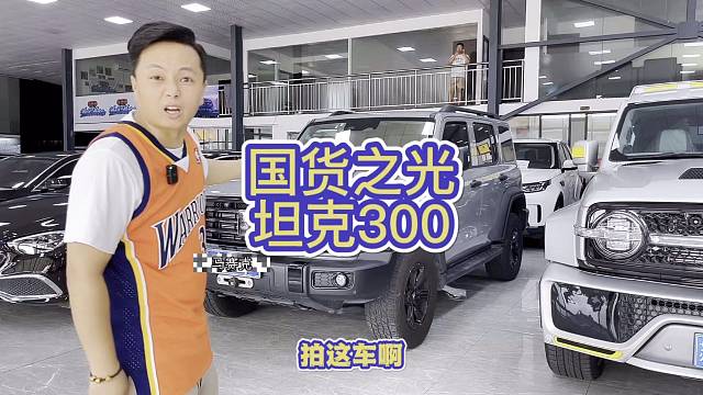 现在正是入手好时机