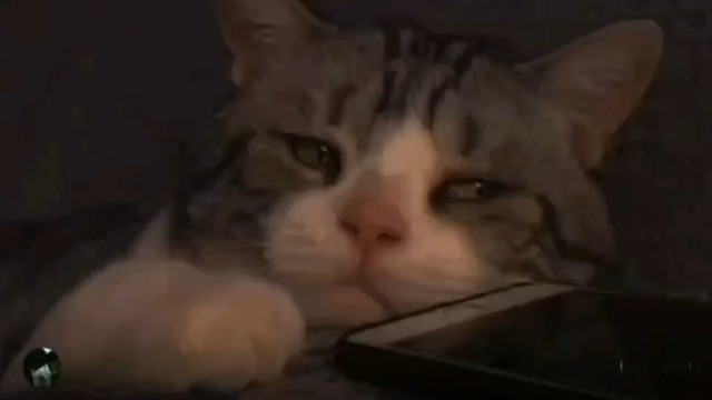 一个人怕孤独，两个人怕辜负