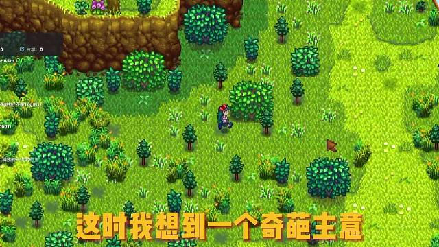 星露谷sve沙漠绿洲计划～