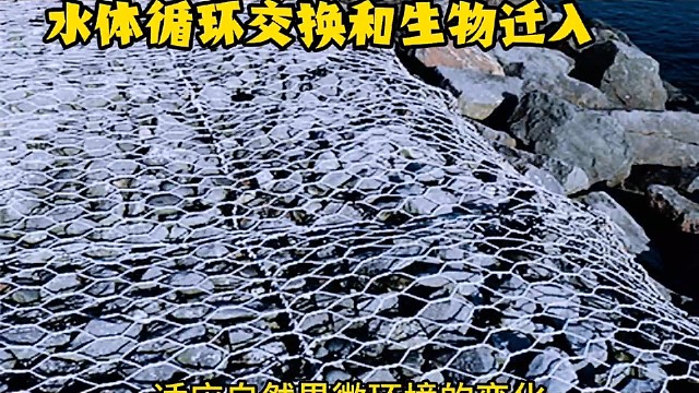 #石笼网生产厂家#水利工程#河道治理#护坡