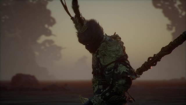 欢迎来到我的直播间