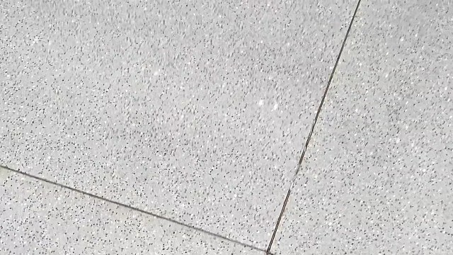 #星瑞 #星瑞L智擎