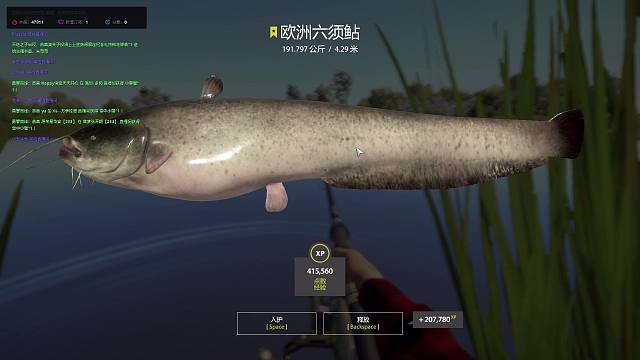 沉浸式欣赏巨大猪头