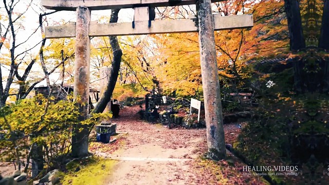 这地方怎么那么美，我都惊呆了。