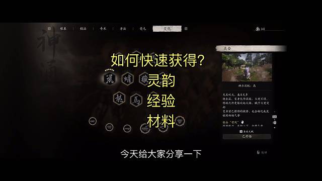 #黑神话悟空，黑神话悟空如何快速获得灵蕴，道行经验，材料？