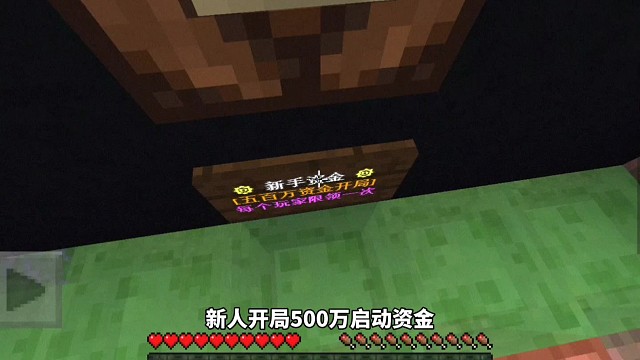 我的世界：开局500万启动资金