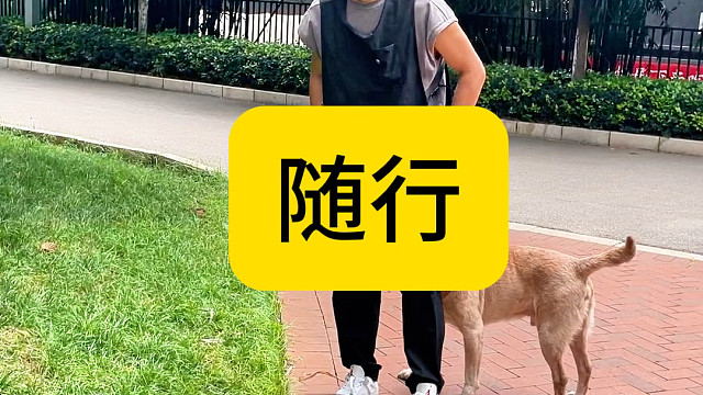 我想知道有几个人照着网上练出随行来的