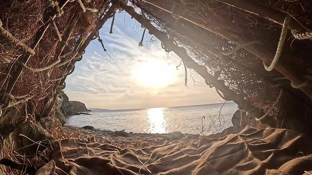 带着我的狗来到海边，在没有食物淡水的情况下，自己创造条件生存