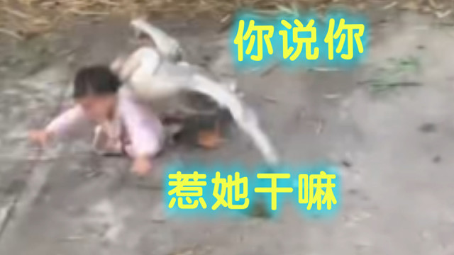 你们小气候有没有被大鹅摩擦过？？