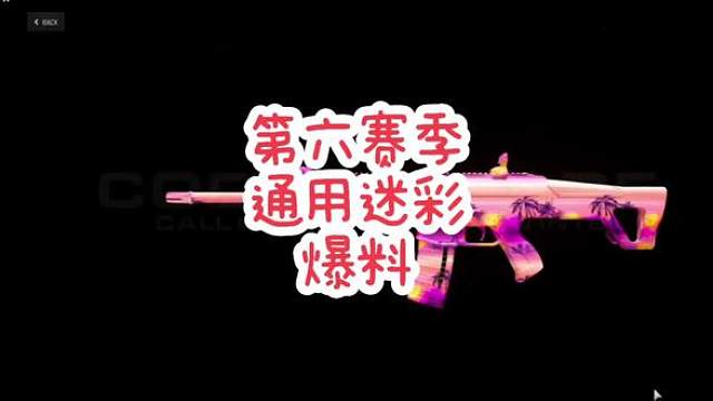 使命召唤第六赛季全通用迷彩爆料预览展示，端游获取手游同步#使命召唤战区手游 #cod20