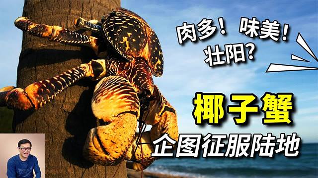 生于海洋，企图征服陆地，大闹人类营地的椰子蟹，遭遇隐形天敌！