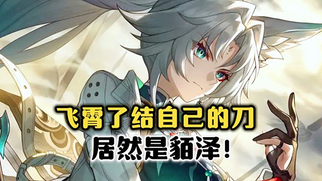飞霄留给自己的那把刀，居然是貊泽！