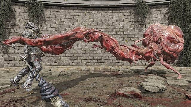 法环：活壶内容物VS本体全NPC