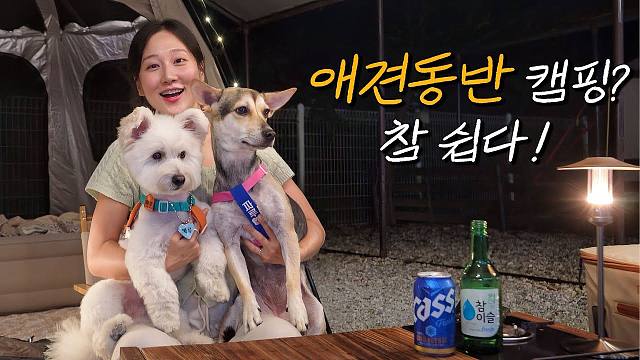 独自与被遗弃的狗狗一起露营 / 领养，不要购买！/ 泡菜炖排骨