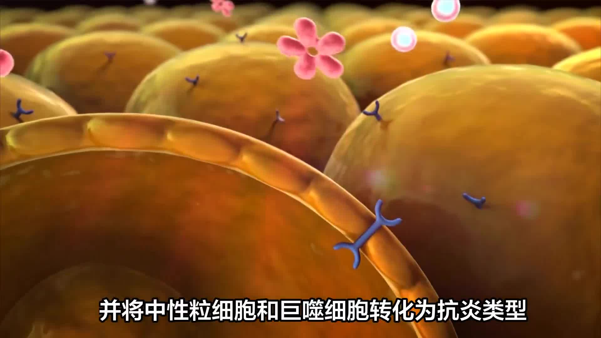 全面抗衰老指南，每个人需要知道