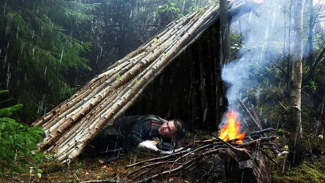 一个人的露营放松，在北欧森林里搭建松树棚避雨，还可以捡蘑菇吃！