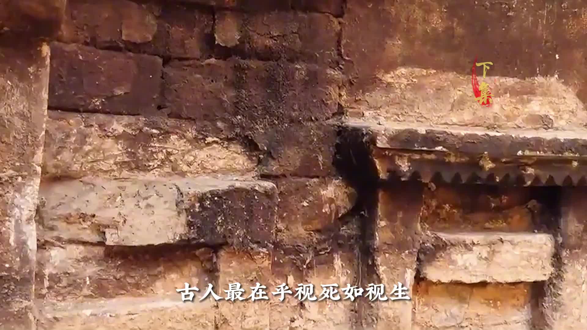树根下“长出”800年古墓，陪葬品寒酸至极，专家只看一眼就封锁现场