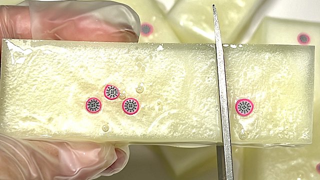 沉浸式剪菠萝纳米条子～