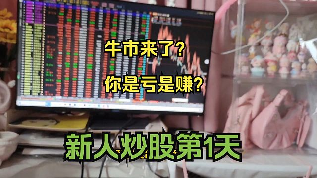 牛市来了？先亏为敬！新人韭菜入股市第一天！