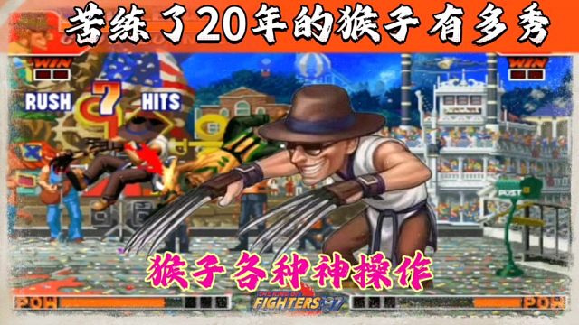 拳皇97：民间猴王苦练20余年，猴子各种极限蓄力惊艳全场！