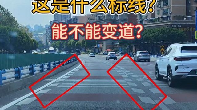 老司机来看看、这种标线能不能变道？新手朋友要明白