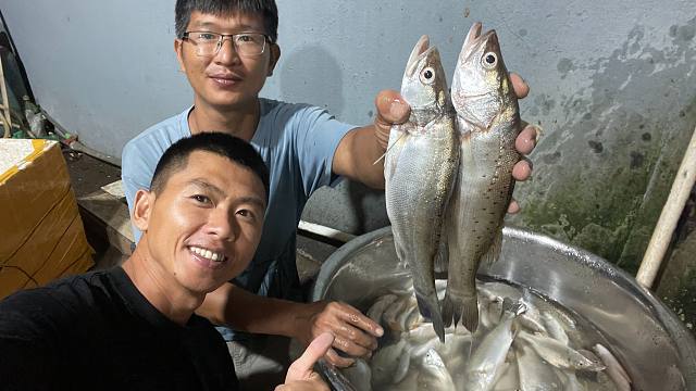 阿旺真是个人才，赶海也能月入过万，太会赚钱了