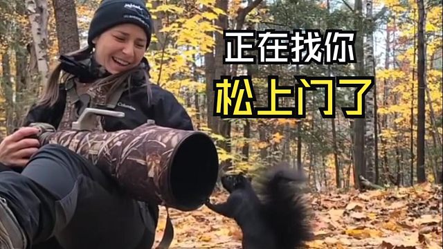 那些有爱的动物视频！