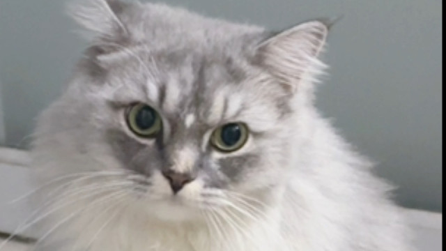 我发布了一个新视频，快来围观吧！