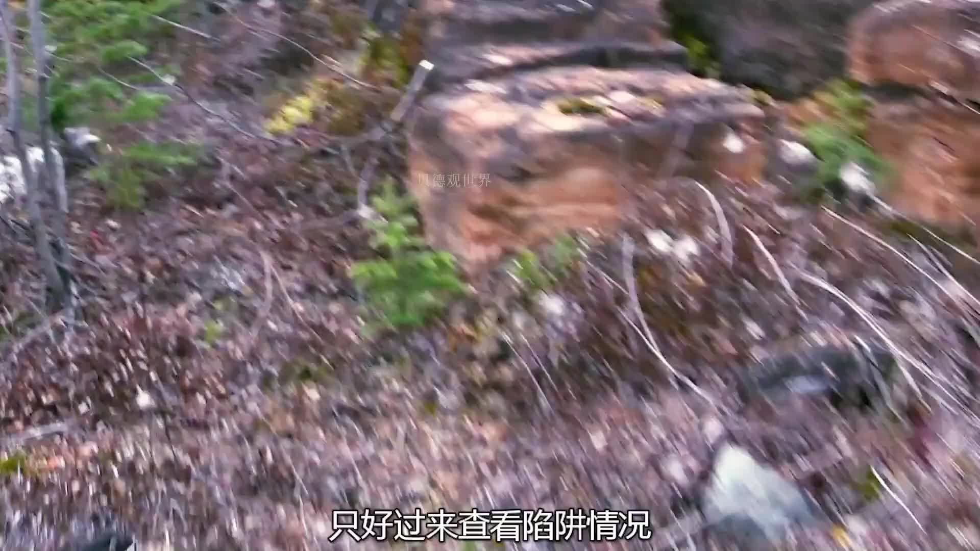 荒野独居第七季，各路大神齐聚一堂挑战100天，到底谁会赢走100万美刀  (10)