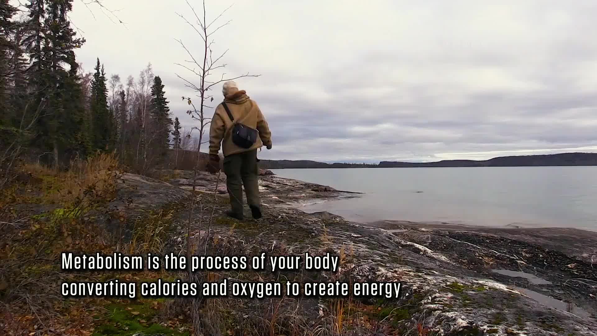 荒野独居第七季，各路大神齐聚一堂挑战100天，到底谁会赢走100万美刀  (12)