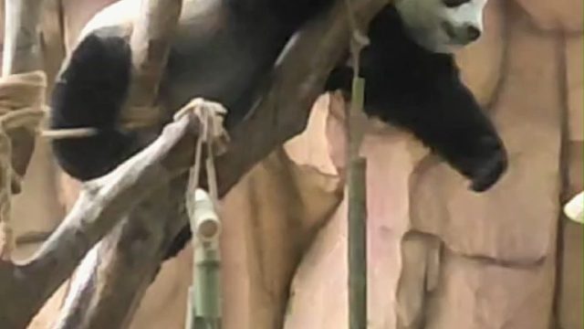 国庆快到咯 快来找我玩呀