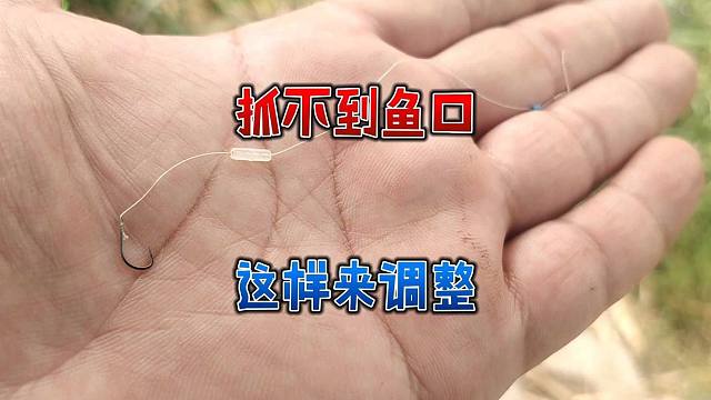 秋季野钓鱼口轻，经常抓不到鱼口怎么办？试试铅坠移到子线上