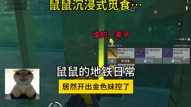 鼠鼠也是狠狠的得吃上了