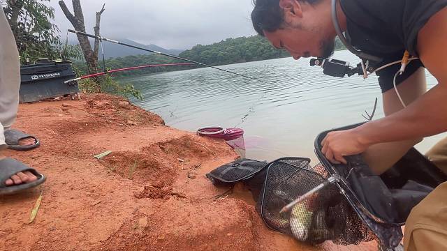 连杆了四个草鱼不得了