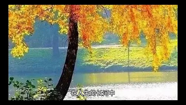 在清醒与梦境间徘徊：发作性睡病，一场心灵的微醺