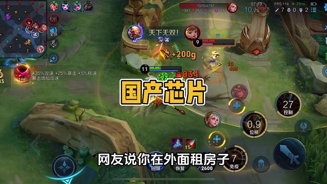 国产芯片的诞生