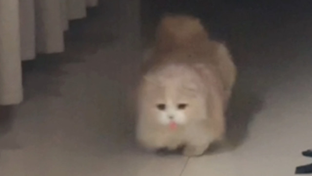 一天天的也不知道哪来的精神