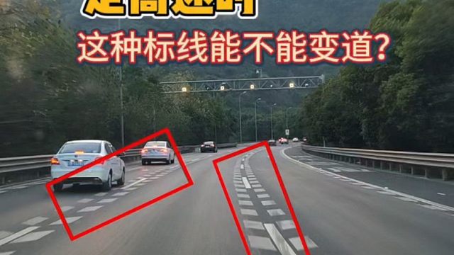 老司机来看看、这种标线能不能变道？新手朋友要明白