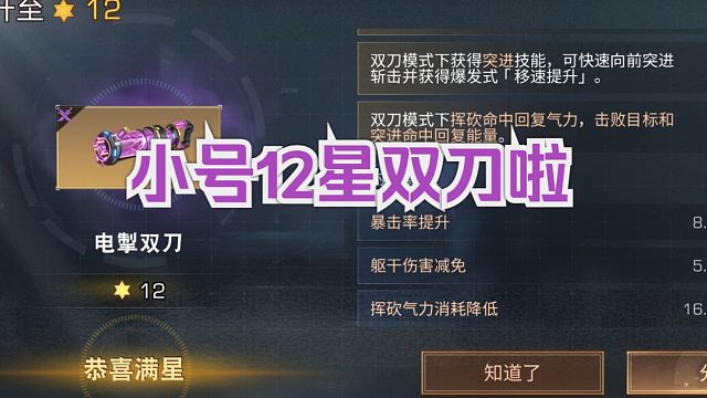 【明日之后】12双刀大武士小号打造完成，买2架典藏流光备战！