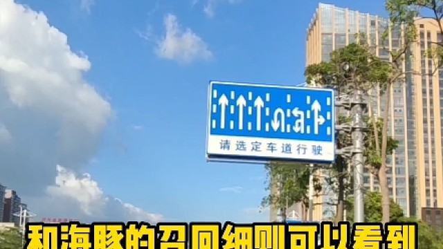 比亚迪紧急召回元plus和海豚近十万台车#汽车知识 #每天一个用车知识 #比亚迪