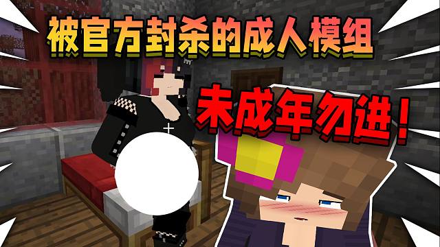 被游戏官方封杀的成年人模组，居然这么离谱！