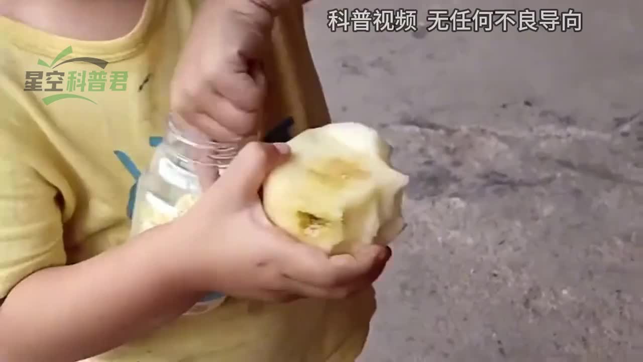 几十年前，几乎人人肚子里都有蛔虫，为什么现在很少见了？