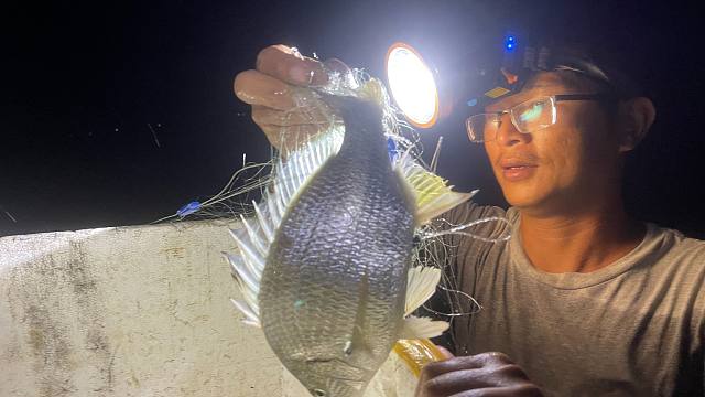 阿旺赶海运气真好，巴掌大的黄脚立一条接一条，几小时收获上千块