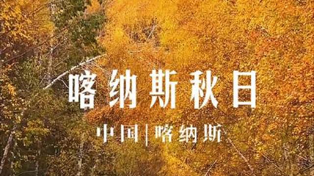 秋天的具象化瞬间#秋天落叶 #住进风景里 #一起来拍秋天 #新疆旅游 #治愈系风景