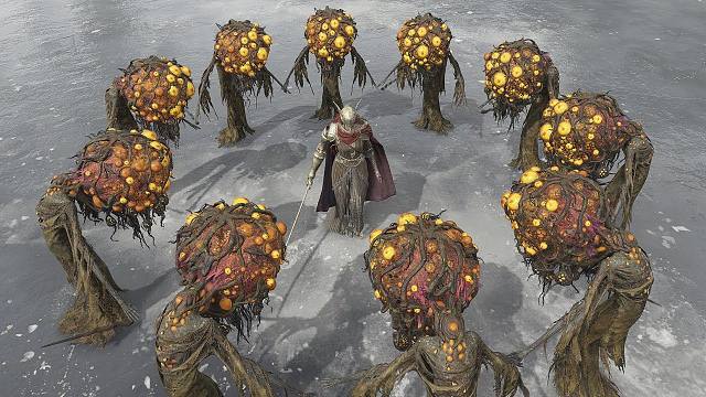 法环：10个禁触老翁VS本体全BOSS