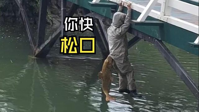 那些动物们的尴尬时刻！