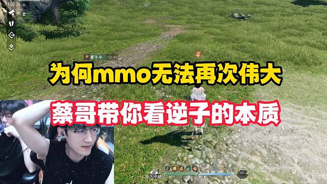为何mmo无法再次伟大，蔡哥带你看逆子的本质！