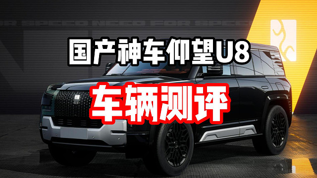 你才是殿堂车吧？国产神车仰望U8测评！