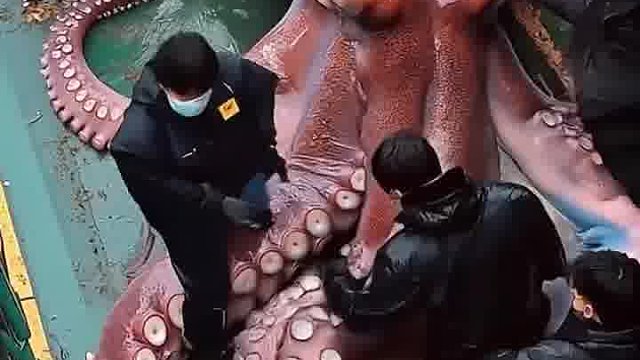 现在的AI太真了